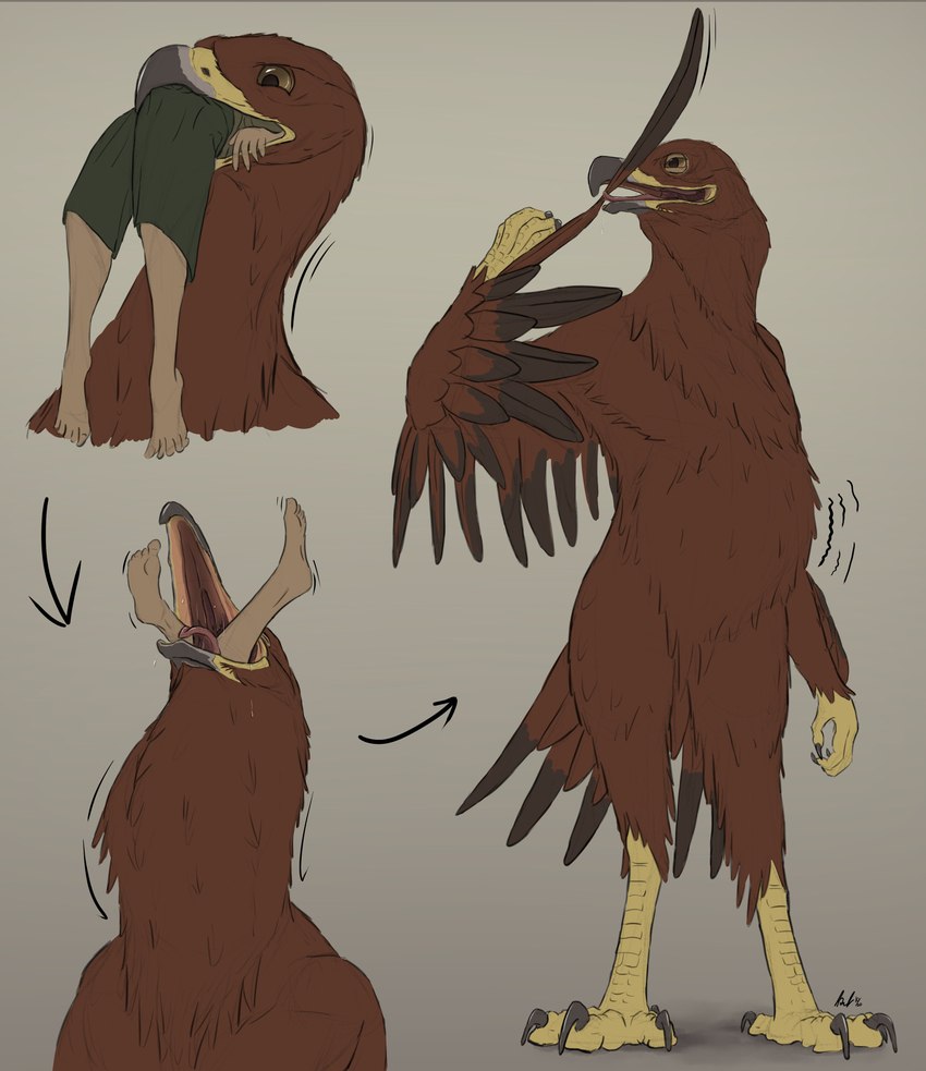 4_fingers 4_toes abdominal_bulge almost_fully_inside ambiguous_gender ambiguous_pred ambiguous_prey anisodactyl anthro anthro_focus anthro_pred avian_feet beak belly big_belly biped black_beak black_body black_claws black_eyebrows black_eyes black_feathers black_tail black_wings bodily_fluids brown_body brown_feathers brown_sclera brown_tail brown_wings claws digitigrade directional_arrow drooling duo eyebrows feather_preening feathered_wings feathers featureless_crotch feet finger_claws fingers forced front_view fully_inside grey_background grey_beak grey_body grey_feathers grey_tail head_first human_prey in_mouth in_throat larger_anthro licking motion_lines multicolored_beak multicolored_body multicolored_feathers multicolored_tail multicolored_wings neck_bulge nude open_beak open_mouth oral_vore partially_inside personal_grooming pink_tongue saliva scuted_arms scutes self_lick shadow simple_background size_difference smaller_human smile smirk soft_vore solo_focus standing swallowing tail tail_feathers talons thick_thighs toe_claws toes tongue tongue_out two_tone_wings vore wide_hips winged_arms wings yellow_beak kelenkenwithfangs accipitrid accipitriform avian bird eagle human mammal 2020 absurd_res colored_sketch dated digital_media_(artwork) hi_res multiple_scenes shaded signature sketch