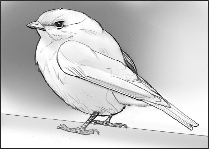 ambiguous_gender beak biped bipedal_feral feathered_wings feathers feet feral side_view solo standing tail tail_feathers talons toes wings jerichorus avian bird greyscale monochrome shaded sketch