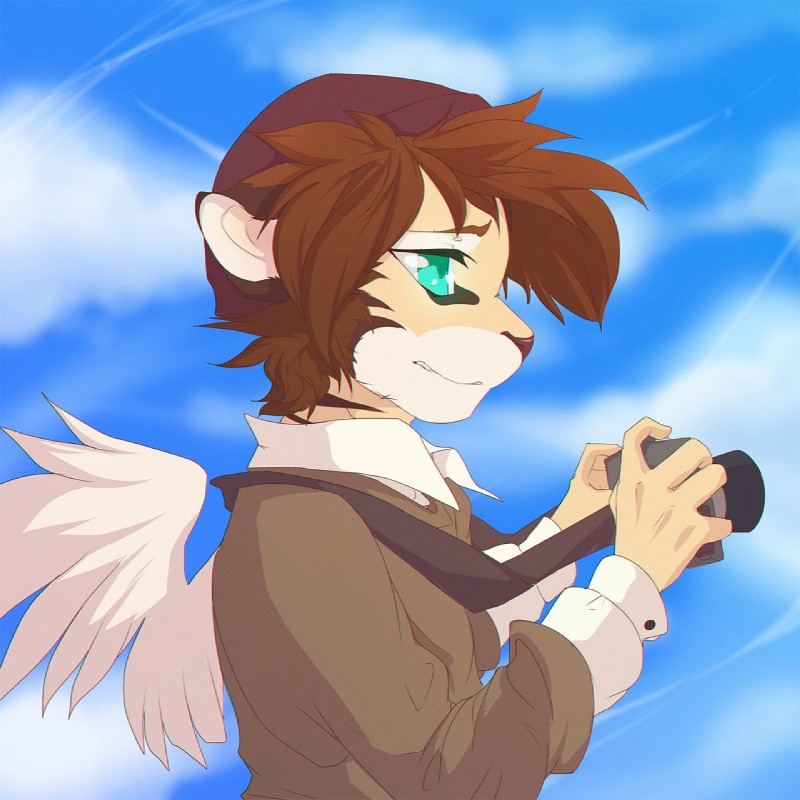 5_fingers anthro blue_eyes brown_hair clothed clothing cloud day feathered_wings feathers fingers hair holding_object male outside sky smile solo wings rikitoka great_troubles hazukashii_team stardust_kids romano_(rikitoka) felid hybrid mammal 1:1 hi_res