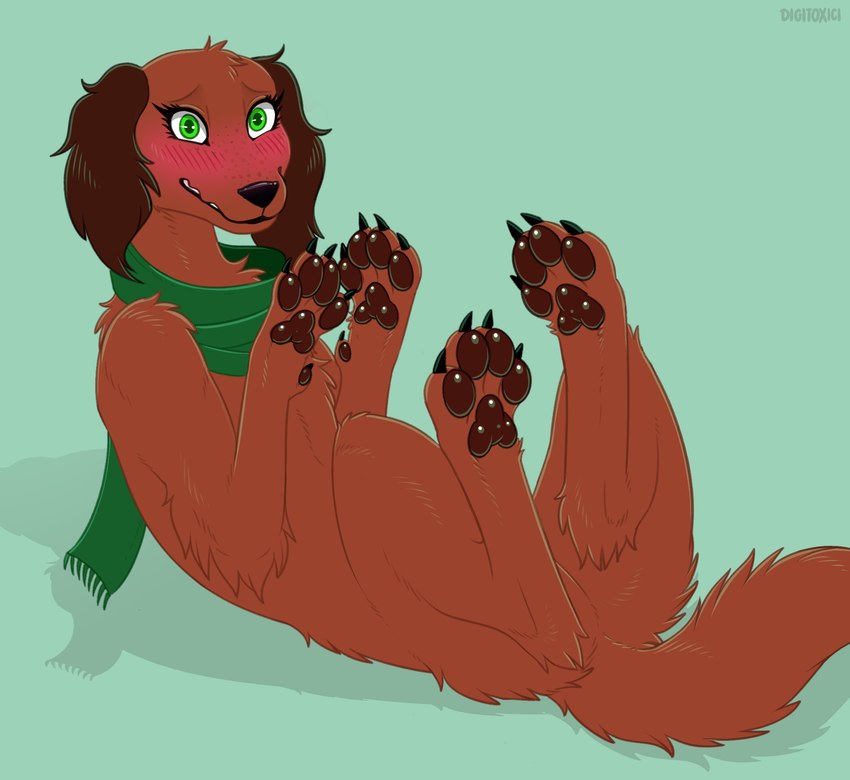 black_nose blush blush_lines brown_body brown_fur claws featureless_crotch feet female feral freckles fur green_eyes green_scarf legs_up looking_at_viewer lying mostly_nude on_back pawpads paws scarf scarf_only simple_background solo toe_claws digitoxici selkie_(marcushunter) bird_dog canid canine canis domestic_dog hunting_dog irish_setter mammal setter 2024 hi_res signature