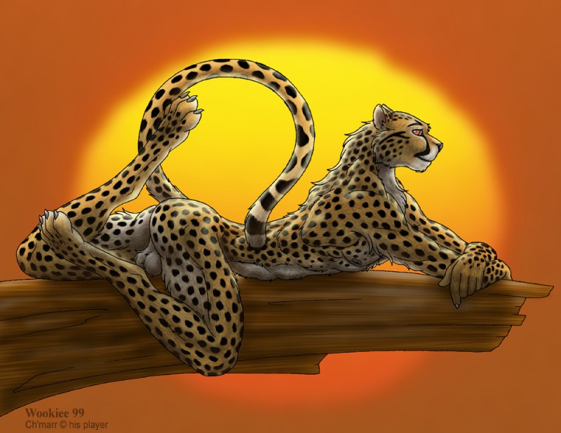 4_toes 5_fingers anthro backsack balls black_nose butt claws countershading digitigrade feet fingers fur genitals looking_at_viewer lying male markings nipples nude on_front orange_eyes outside raised_tail side_view sky smile solo spots spotted_body spotted_fur tail toe_claws toes wooky ch'marr cheetah felid feline mammal 1999 digital_media_(artwork)