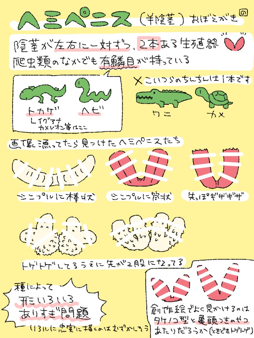 2_penises ambiguous_gender animal_genitalia animal_penis feral genitals hemipenes how-to ineffective_censorship male multi_genitalia multi_penis penile_spines penis text nontan_mobusagi crocodile crocodilian lizard reptile scalie snake tortoise turtle censored hi_res japanese_text translation_request