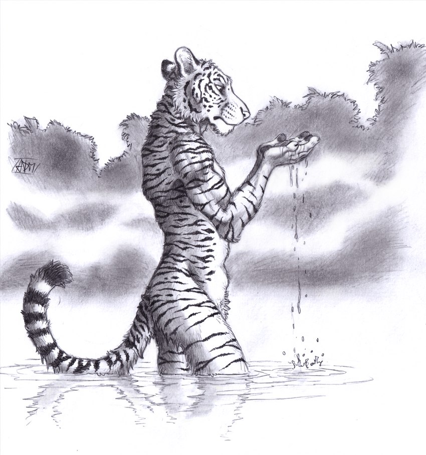 anthro clothing fur looking_down male markings nude outside partially_submerged pawpads plant reflection solo standing standing_in_water striped_body striped_fur striped_markings striped_tail stripes tail tail_markings water water_drop wet wet_body wet_fur 0laffson felid mammal pantherine tiger 2023 graphite_(artwork) hi_res monochrome signature traditional_media_(artwork)