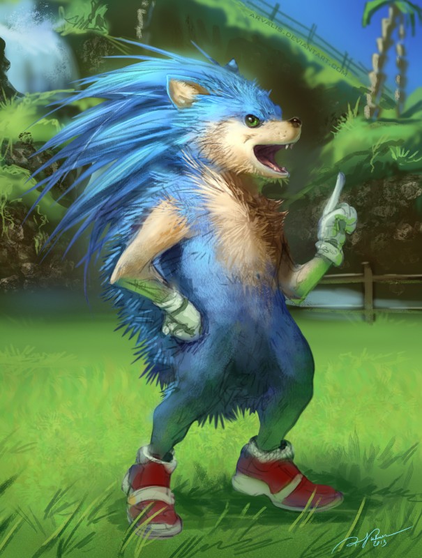 anthro biped clothing footwear gloves handwear male realistic shoes solo arvalis sega sonic_the_hedgehog_(series) sonic_the_hedgehog eulipotyphlan hedgehog mammal 2013 absurd_res detailed hi_res