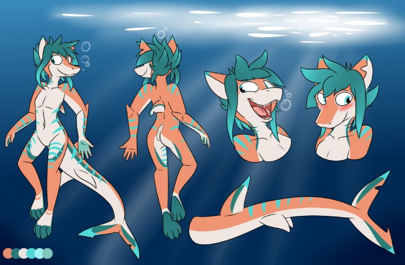 anthro blush grin hair long_hair male shy simple_background smile solo teeth water ryofox630 colin_(anonymous3355) fish marine shark 2018 digital_media_(artwork) model_sheet