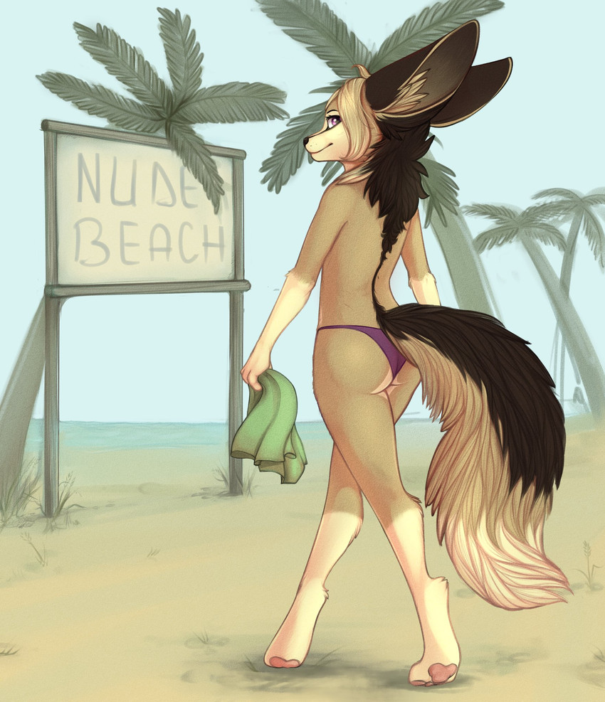 anthro barefoot beach big_ears black_nose blonde_hair butt casual_exposure cheeky_panties clothed clothing day detailed_background digitigrade dipstick_tail feet female gloves_(marking) hair inner_ear_fluff leg_markings markings nude_beach outside palm_tree panties pawpads pink_pawpads plant purple_eyes sand sea seaside sign sky smile socks_(marking) solo tail tail_markings text topless tree tuft underwear water yshanii osiris_henschel canid canine fennec_fox fox mammal true_fox 2020 digital_media_(artwork) english_text hi_res shaded