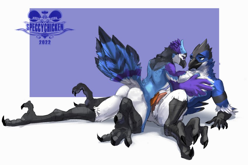 anthro avalonblueavian beak blue_body blue_feathers duo erection feathers feet frottage genitals happy male male/male penile penis pose sex size_difference talons tapering_penis toes speccy european_mythology greek_mythology mythology avalon avalon_(blueavian) avalondragon avalonjay mayk avian bird blue_jay corvid jay_(bird) mythological_avian mythological_bird mythological_creature mythological_firebird new_world_jay oscine passerine phoenix 3:2 absurd_res hi_res