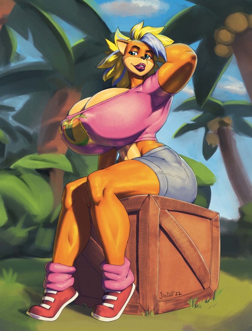 anthro big_breasts blonde_hair breasts clothed clothing detailed_background female hair huge_breasts nipple_outline outside sitting solo jindragowolf activision crash_bandicoot_(series) pirate_tawna bandicoot mammal marsupial digital_media_(artwork) hi_res