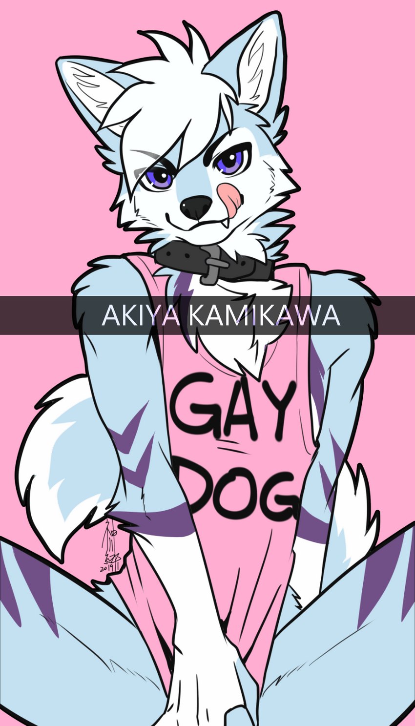 anthro blue_body blue_fur bottomless chevron_(marking) clothed clothing collar convenient_censorship cute_fangs fangs fur licking licking_lips male markings pink_background purple_eyes shirt simple_background solo stated_homosexuality stated_sexuality teeth tongue tongue_out topwear akiya-kamikawa jem_star canid canine canis domestic_dog mammal distracting_watermark hi_res signature watermark