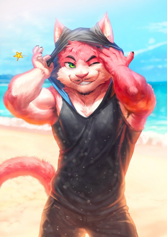 anthro beach biceps clothed clothing facial_hair fur kemono male one_eye_closed outside seaside solo wink nviek5 felid mammal 2019 absurd_res hi_res