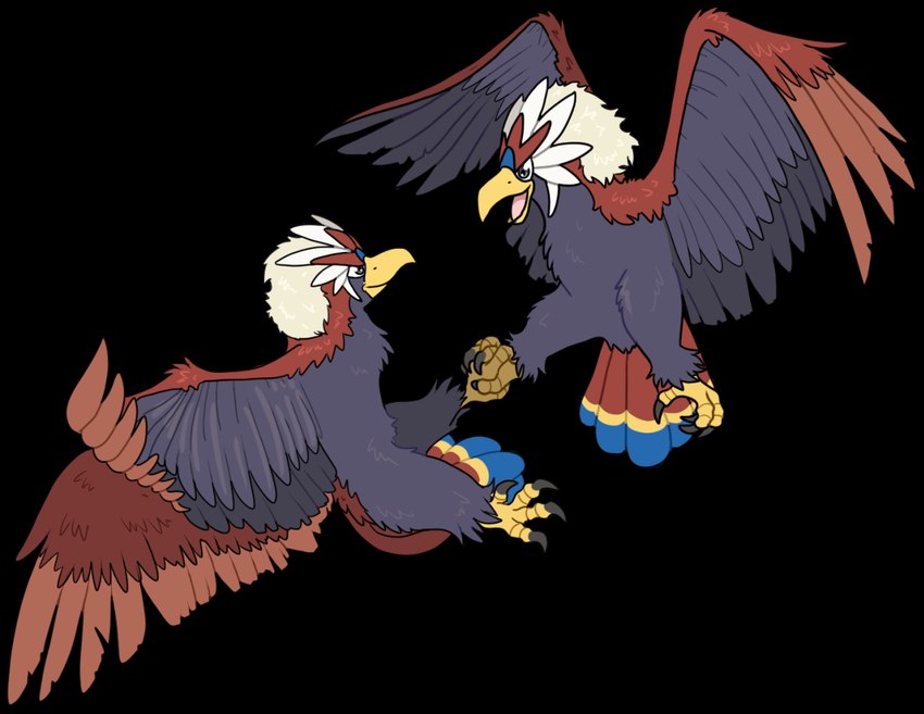 ambiguous/ambiguous ambiguous_gender beak claws duo entwined_toes feathered_wings feathers feet feral footsie toe_claws wings littlepinebox nintendo pokemon accipitrid accipitriform avian bird braviary generation_5_pokemon pokemon_(species) alpha_channel