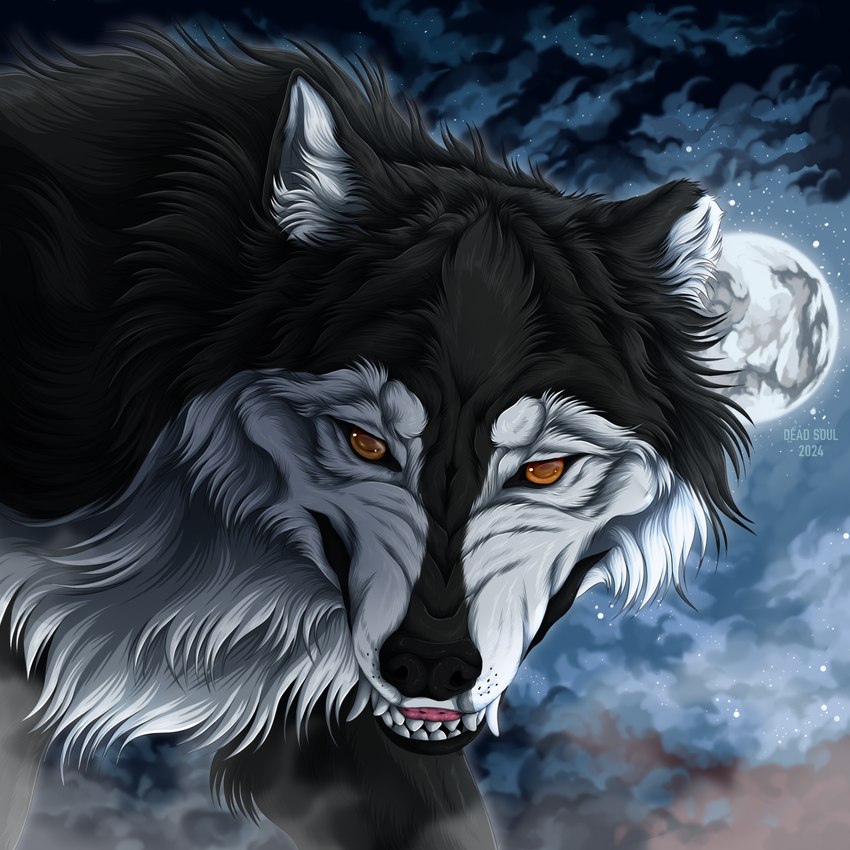 ambiguous_gender bared_teeth black_body black_fur black_nose cheek_tuft cloud facial_tuft fangs feral fur inner_ear_fluff looking_at_viewer moon neck_tuft orange_eyes solo teeth text tuft white_body white_fur white_inner_ear_fluff msdeadsoul canid canine mammal 1:1 2024 artist_name dated hi_res