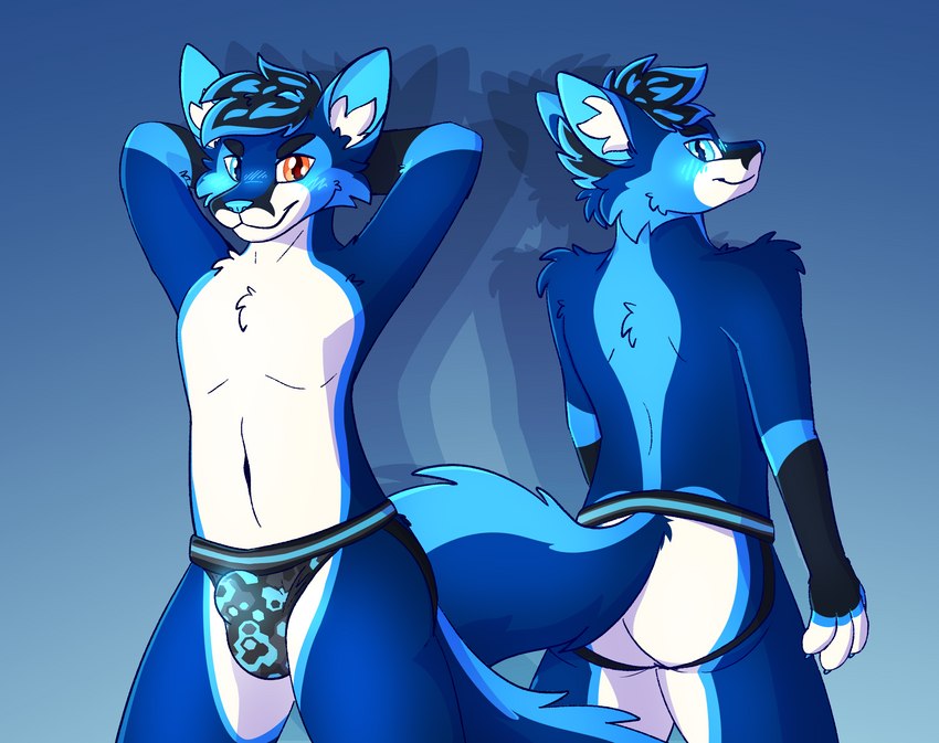 anthro blue_blush blue_body blue_eyes blue_fur blue_nose blush clothed clothing fur heterochromia jockstrap looking_at_viewer looking_back male orange_eyes pose solo underwear tegfox teg canid canine fox mammal hi_res pinup