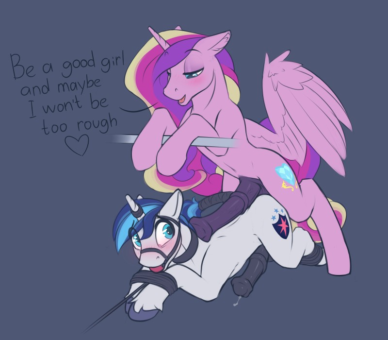 princess cadance and shining armor (friendship is magic and etc) created by phenyanyanya