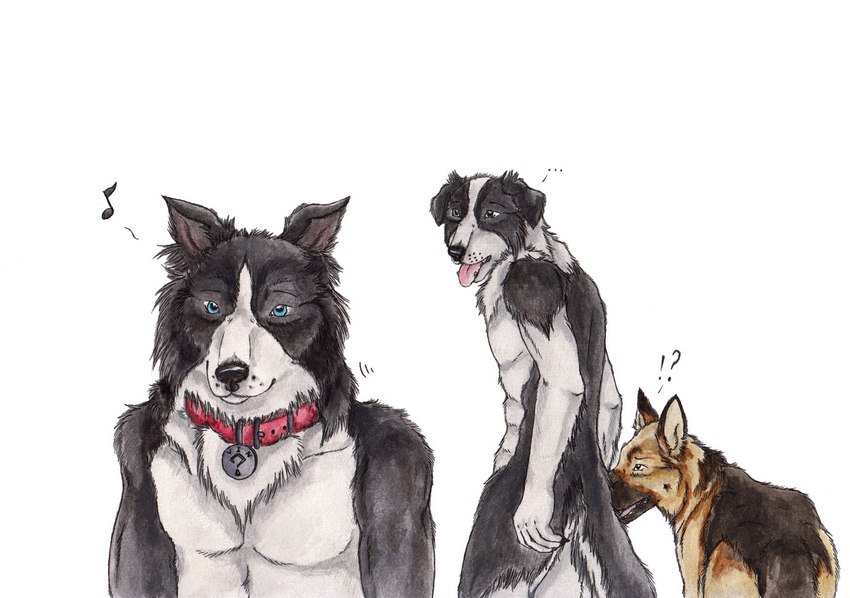 ambiguous_gender anthro black_body black_fur blue_eyes collar feral fur group looking_back male nude open_mouth red_collar simple_background standing tongue tongue_out trio white_background white_body white_fur kola_(artist) border_collie canid canine canis collie domestic_dog german_shepherd herding_dog mammal pastoral_dog sheepdog meme