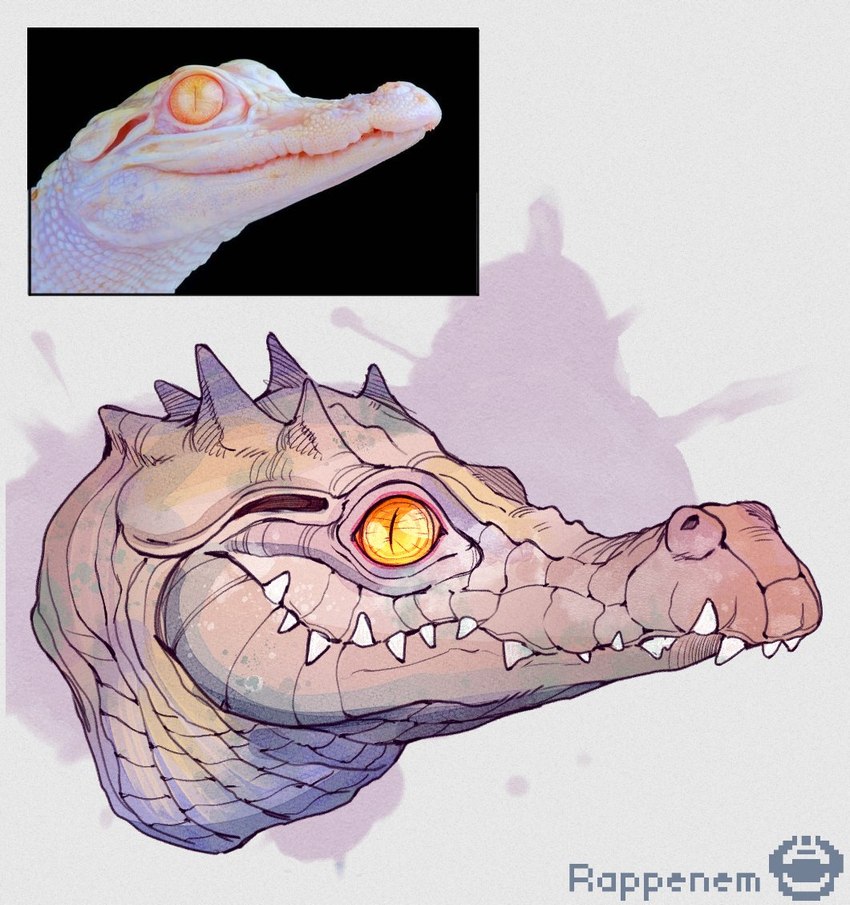 albino ambiguous_gender feral orange_eyes pupils scales sharp_teeth side_view simulated_traditional_(artwork) slit_pupils snout solo teeth white_body white_scales young rappenem alligator alligatorid crocodilian reptile scalie headshot_portrait portrait reference_image