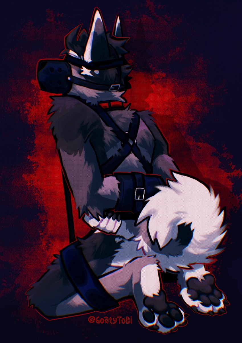 anthro bdsm blindfold bondage bound collar frogtied kneeling legs_tied male muzzle_(object) muzzled paws solo tail goatytobi leo_(goatytobi) canid canine canis domestic_dog husky mammal nordic_sled_dog spitz absurd_res hi_res