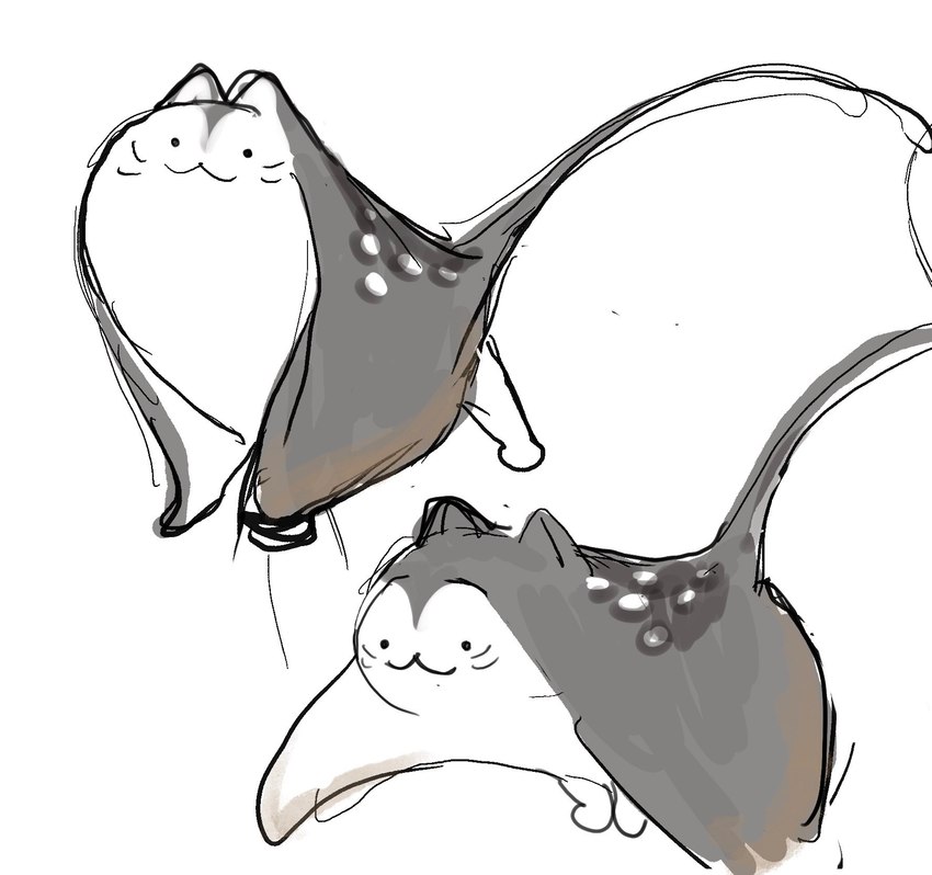 :3 beady_eyes feral humor simple_background smile solo whiskers white_background yogin domestic_cat felid feline felis fish hybrid mammal manta_ray marine ray_(fish) stingray hi_res sketch