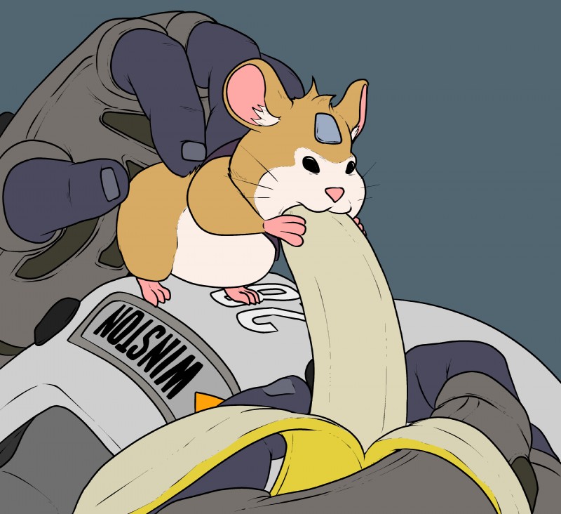 hammond and winston (hamster eating a banana and etc) created by methados