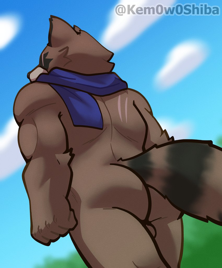 anthro balls blue_scarf brown_body brown_fur butt facial_scar fur genitals male muscular muscular_male nude only_scarf scar scarf simple_background solo stain tail text kem0w0shiba epic_games fortnite hajime_(fortnite) canid canine mammal raccoon_dog tanuki absurd_res english_text hi_res