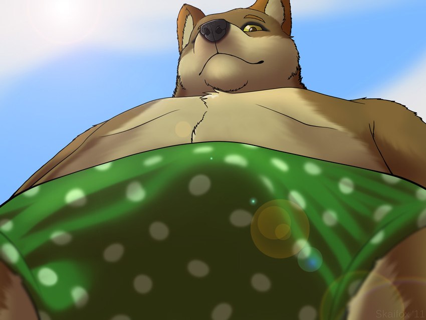 anthro belly bulge clothing light looking_at_viewer looking_down low-angle_view male polka_dot_underwear shadow solo sunlight underwear skaifox canid canine canis fox hybrid mammal wolf 2011 4:3