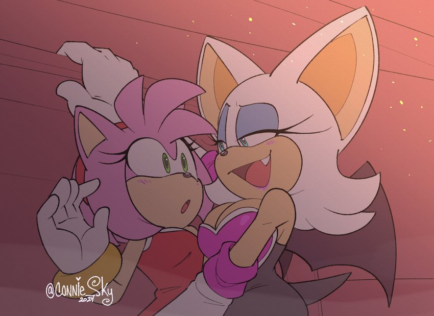 amy rose and rouge the bat (sonic the hedgehog (series) and etc) created by conniesky3