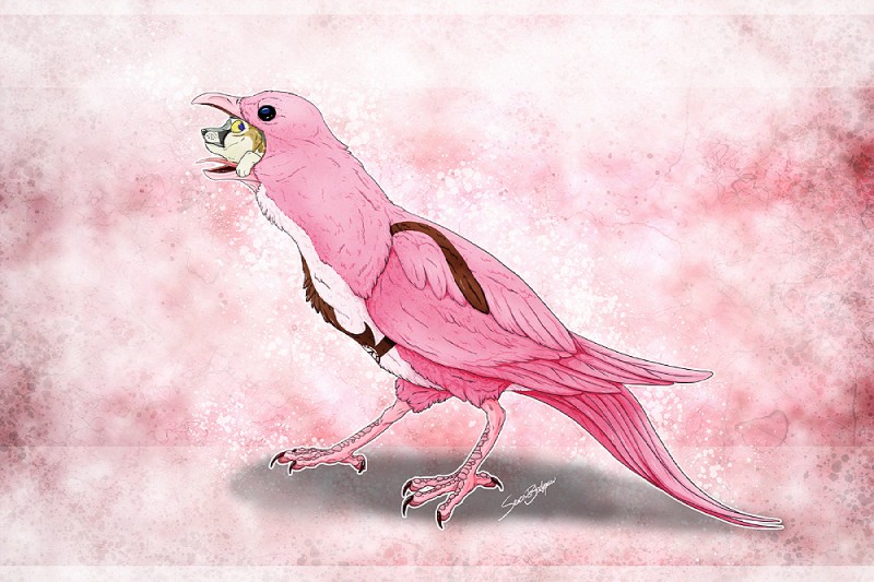 abstract_background almost_fully_inside ambiguous_gender black_eyes duo feathers feral head_in_mouth in_throat neck_bulge oral_vore partially_inside pink_background pink_body pink_feathers simple_background swallowing text vore oliverfox oliver_(oliverfox) avian bird canid canine fox kit_fox mammal true_fox red_theme signature