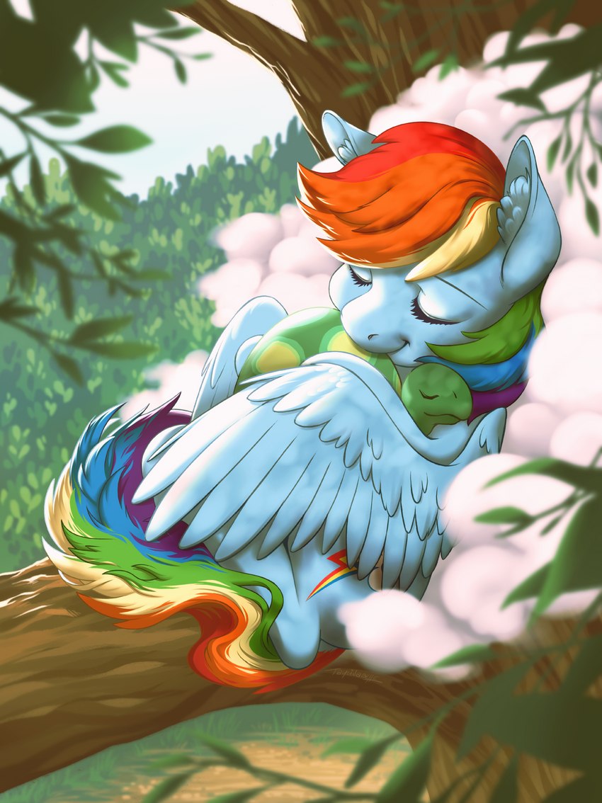 rainbow dash and tank (friendship is magic and etc) created by taytinabelle