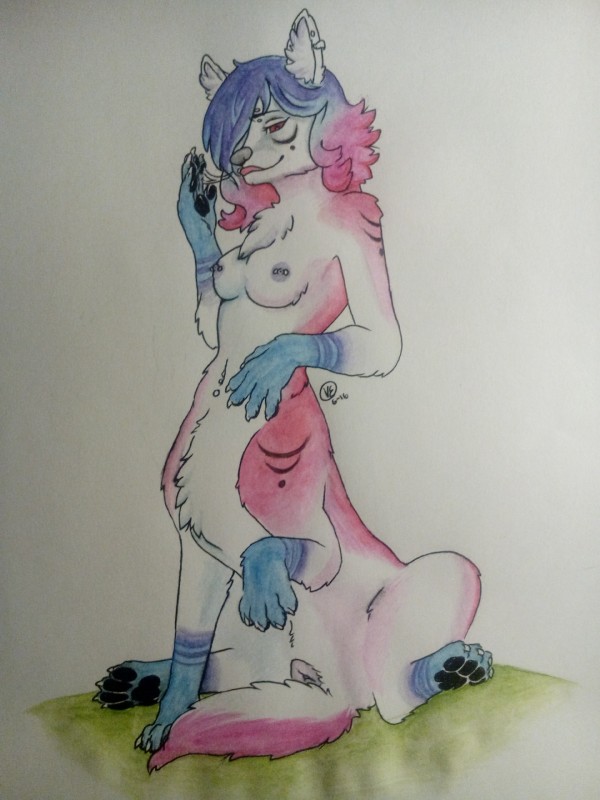 anatomically_correct animal_genitalia animal_pussy blue_body blue_fur breasts canine_genitalia canine_pussy chest_tuft ear_tuft female fur genitals hair nipples piercing pink_body pink_fur presenting presenting_pussy pussy simple_background sitting solo tuft mysfortune canid canine hybrid mammal taur 3:4 absurd_res hi_res signature