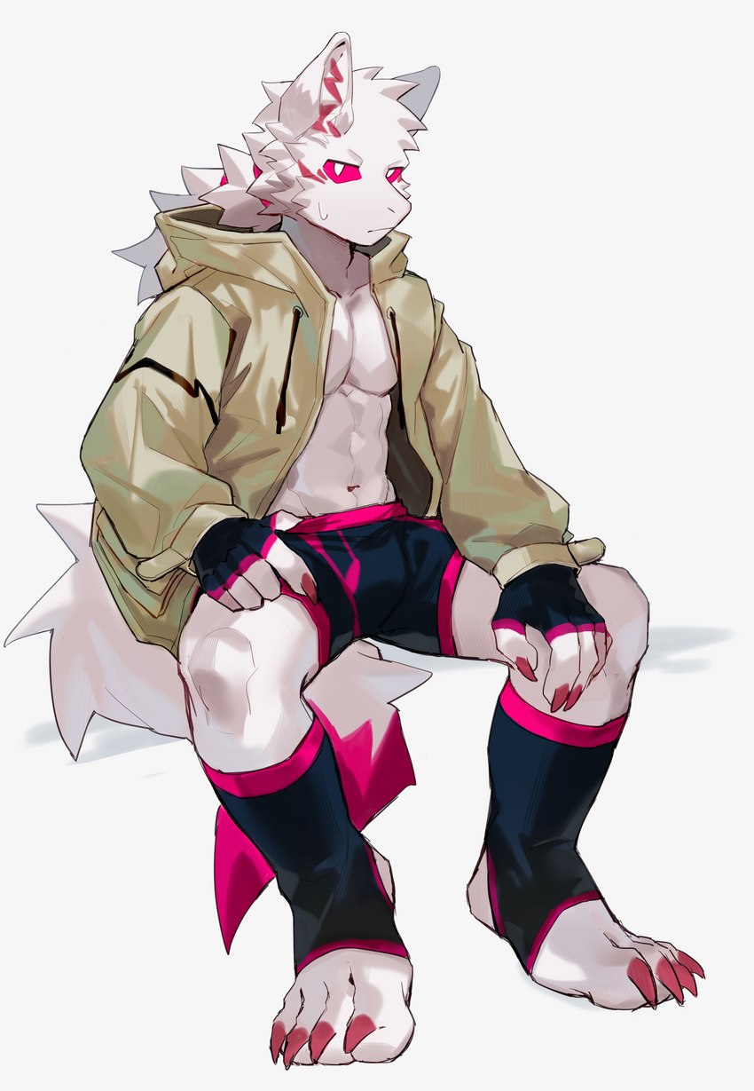 anthro bodily_fluids claws clothed clothing dipstick_tail finger_claws footwear fur hair hand_in_underwear jacket looking_at_viewer male markings muscular pawpads pink_pawpads pink_sclera plantigrade simple_background socks solo stirrup_socks sweat sweatdrop tail tail_markings toe_claws topwear underwear white_background white_body white_eyes white_fur white_hair kitai_su canid canine mammal absurd_res digital_media_(artwork) hi_res shaded