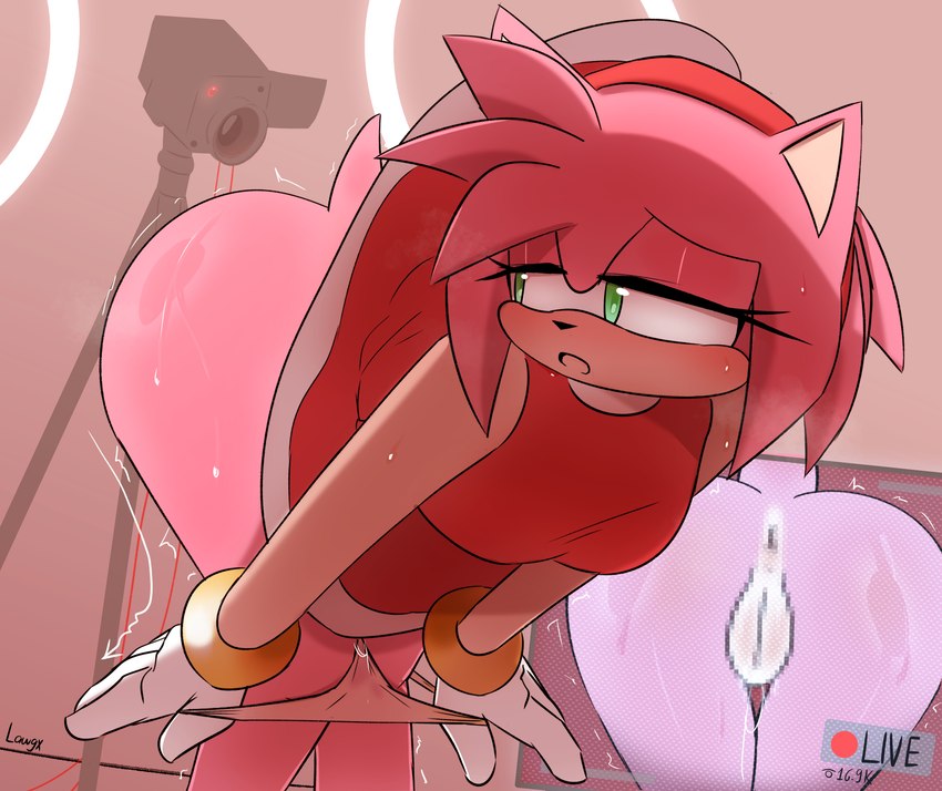 anthro anus big_butt blood blush bodily_fluids butt camera censored_anus censored_genitalia censored_pussy clothing female genitals green_eyes panties pussy solo sweat sweaty_legs sweaty_thighs underwear video_camera lawgx sega sonic_the_hedgehog_(series) amy_rose eulipotyphlan hedgehog mammal censored hi_res mosaic_censorship