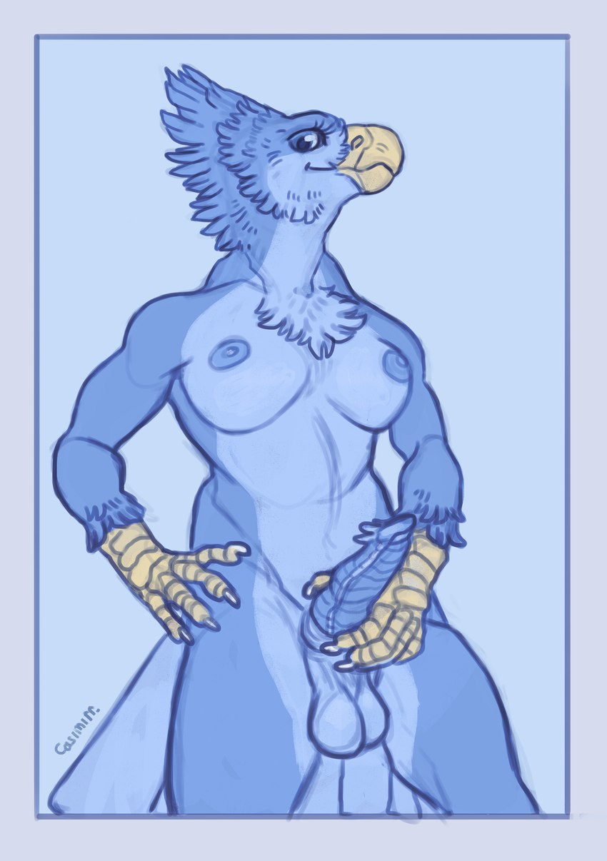 anthro balls beak blue_balls blue_body blue_eyes blue_nipples blue_penis breasts feathers feet genitals gynomorph holding_penis intersex looking_at_viewer medium_breasts nipples non-mammal_balls non-mammal_breasts non-mammal_nipples penis solo tail tail_feathers talons toes yellow_beak jagal lourina_kirinova avian cryophoenix absurd_res hi_res