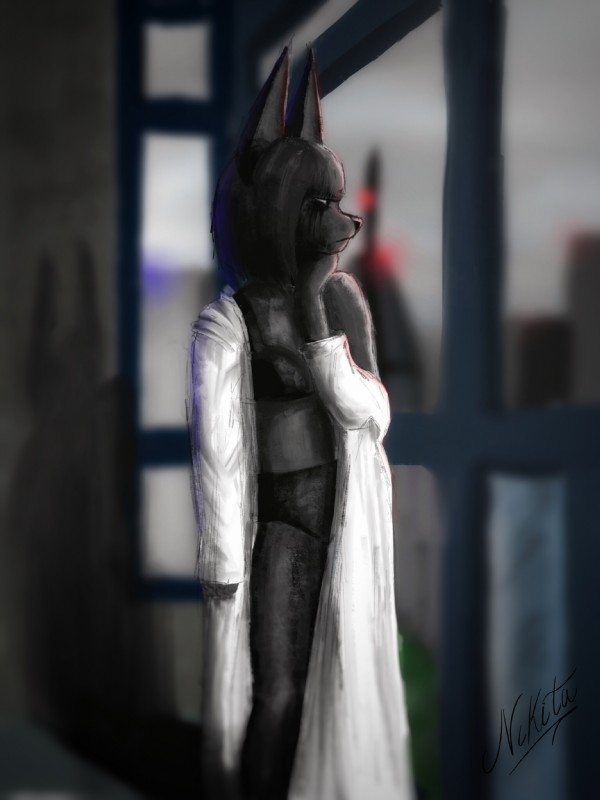 bathrobe black_body black_fur black_hair black_nose bra city clothing coat depression eyeliner fur hair makeup robe sad solo topwear underwear white_clothing white_coat white_topwear window mood canid canine canis jackal mammal nikita_(disambiguation) 3:4 hi_res