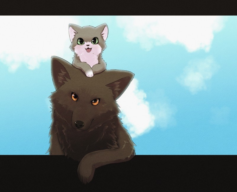 cloud duo feral simple_background rag._(artist) canid canine canis domestic_cat felid feline felis mammal wolf