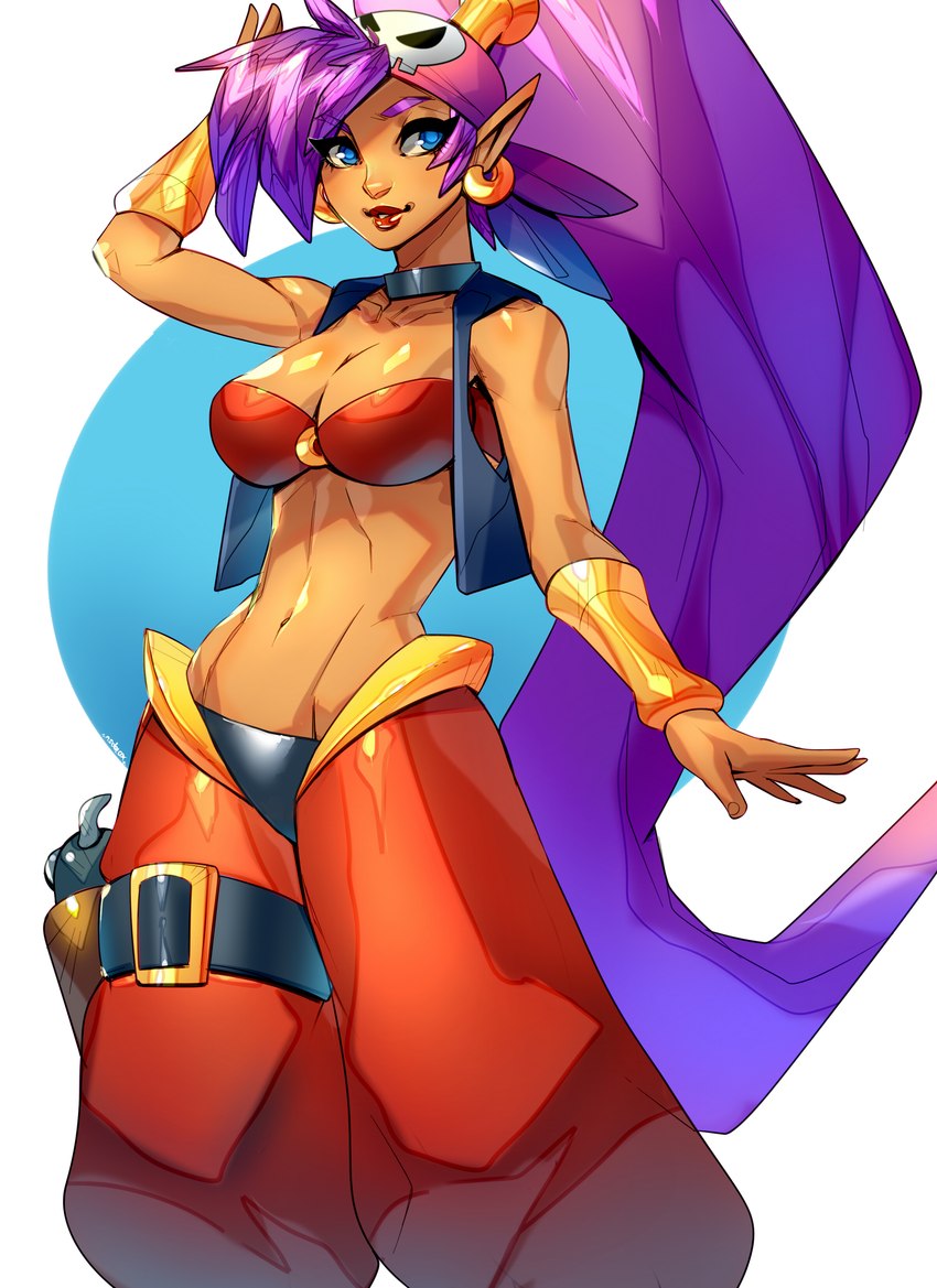 5_fingers blue_eyes breasts brown_body brown_skin clothing ear_piercing ear_ring female fingers hair harem_pants humanoid_pointy_ears kerchief lipstick long_hair makeup midriff navel not_furry piercing pointy_ears ponytail purple_hair ring_piercing simple_background smile solo xdtopsu01 shantae_(series) wayforward shantae genie humanoid absurd_res hi_res