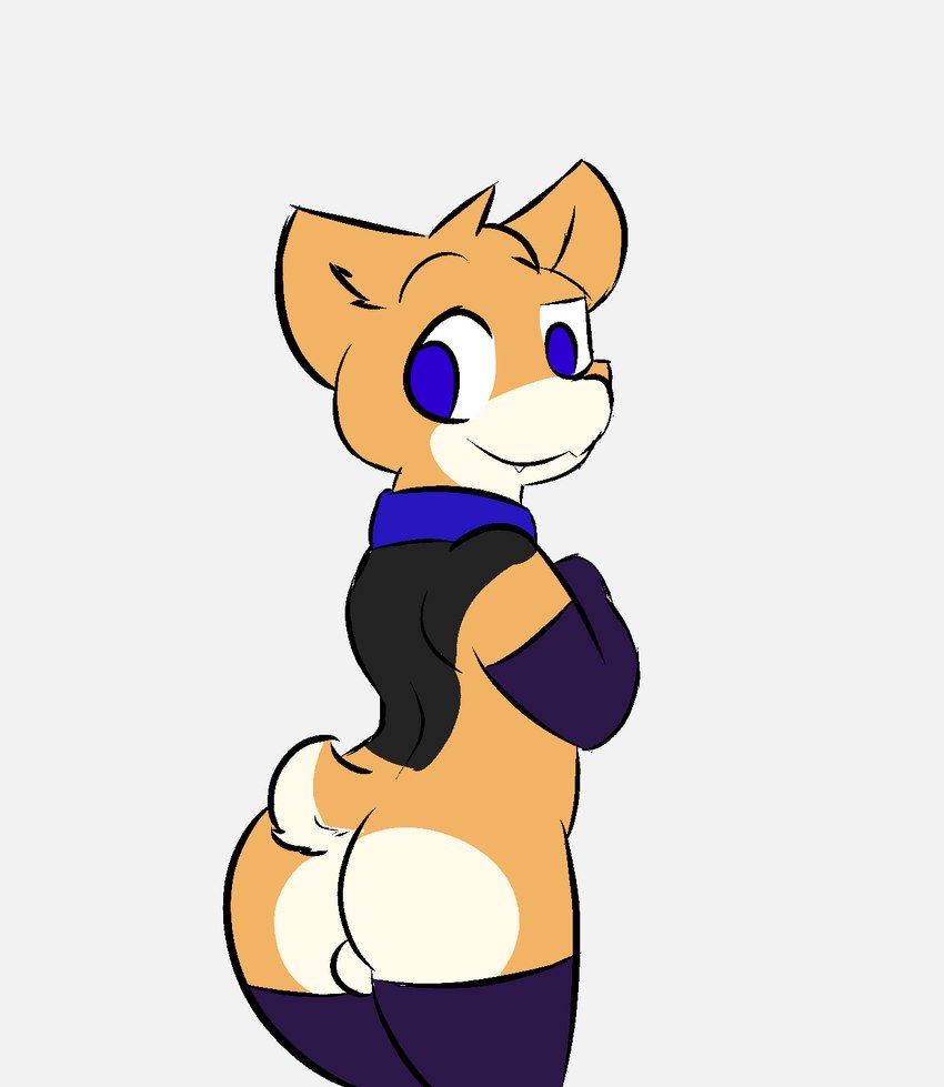 anthro balls butt clothing collar femboy genitals legwear looking_back male rear_view solo stockings sleepyly canid canine canis domestic_dog herding_dog mammal pastoral_dog welsh_corgi hi_res