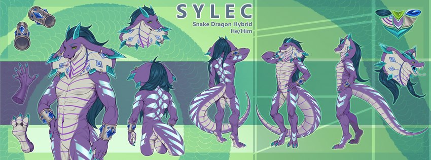 anthro claws featureless_crotch forked_tongue male open_mouth open_smile smile snake_hood solo standing text tongue tongue_out hellta mythology sylec dragon hybrid mythological_creature mythological_scalie reptile scalie snake english_text hi_res model_sheet