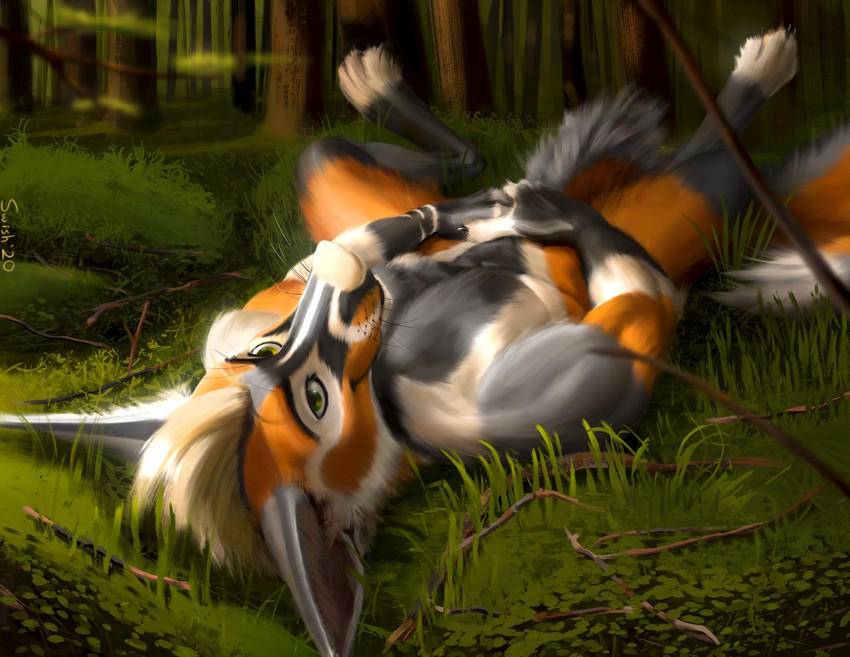 4_toes anthro day detailed_background detailed_fur feet fingers fur green_eyes lying male nude on_back outside sky smile solo toes whiskers swish alazell canid canine fox mammal 2020 detailed digital_media_(artwork)