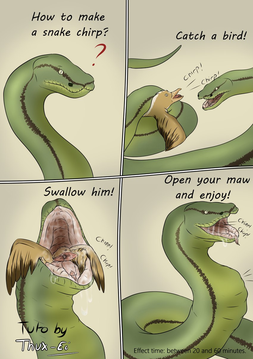 abdominal_bulge ambiguous_gender animal_noises beak chirping coiling duo feathered_wings feathers feral forced open_mouth question_mark swallowing text unwilling_prey vore wings thux-ei avian bird python reptile reticulated_python scalie snake absurd_res comic english_text hi_res