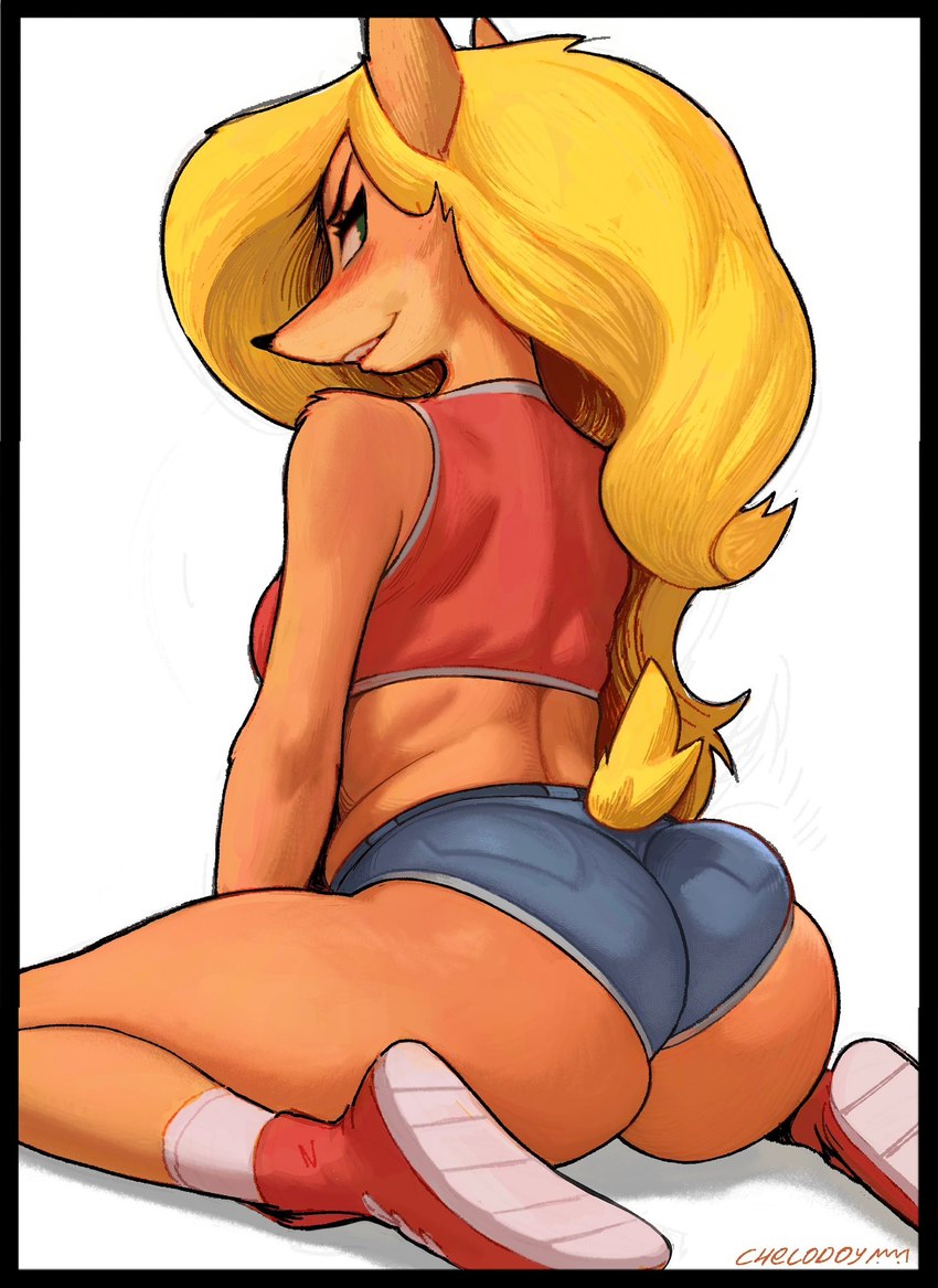 anthro arm_tuft blonde_hair bottomwear breasts butt clothing crop_top denim denim_bottomwear denim_clothing denim_shorts eyebrows eyelashes female footwear fur green_eyes hair kneeling long_hair shirt shoes shorts shoulder_tuft solo tan_body tan_fur topwear tuft chelodoy activision crash_bandicoot_(series) tawna_bandicoot bandicoot mammal marsupial 2024 hi_res signature