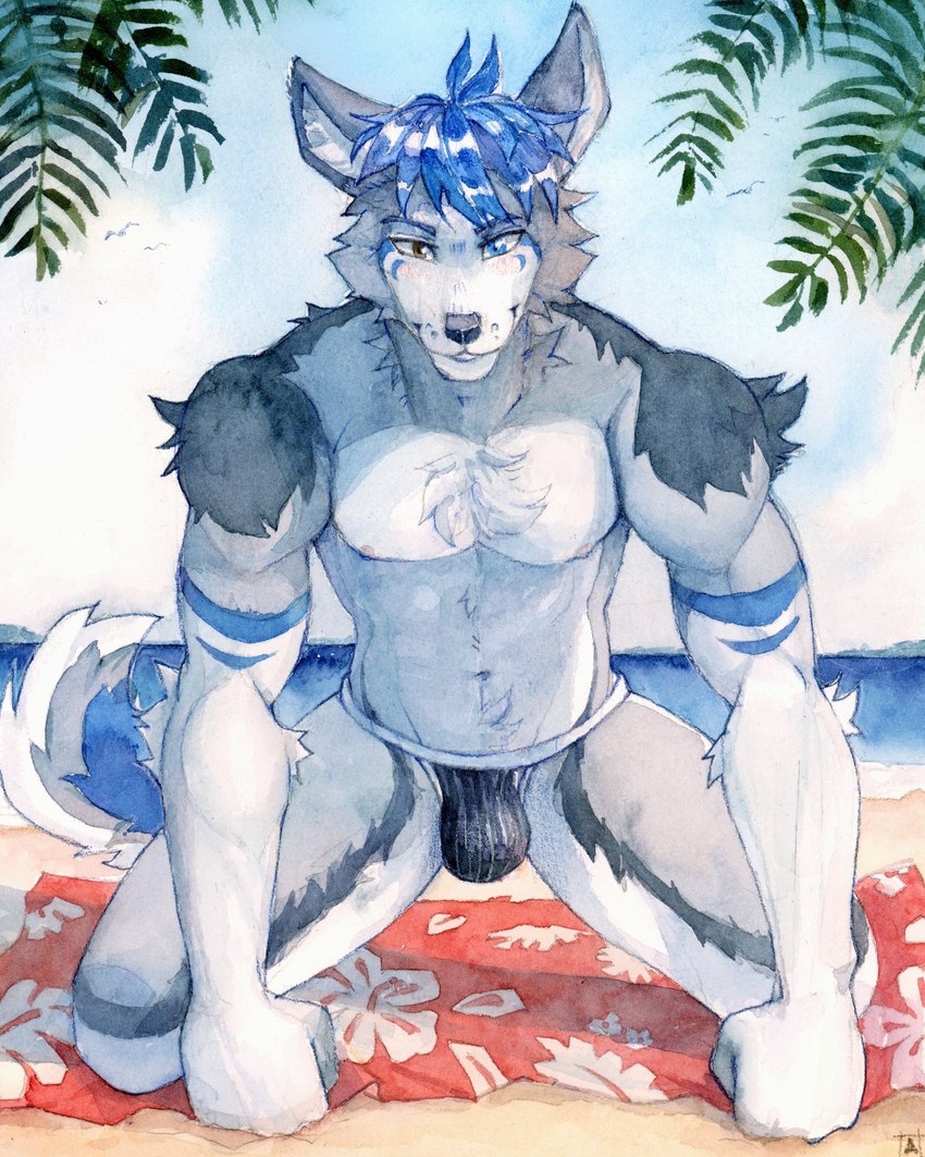 ambient_silhouette anthro arm_tuft beach black_clothing black_jockstrap black_underwear blue_body blue_eyes blue_fur blue_hair brown_eyes bulge cheek_tuft chest_tuft clothed clothing eyebrows facial_tuft fur glistening glistening_eyes grey_body grey_fur group hair heterochromia jockstrap kneeling leaf looking_at_viewer male messy_hair multicolored_clothing multicolored_jockstrap multicolored_underwear navel neck_tuft nipples outside palm_leaves seaside short_hair shoulder_tuft silhouette skimpy sky smile solo_focus topless tuft two_tone_clothing two_tone_jockstrap two_tone_underwear underwear water white_body white_clothing white_fur white_jockstrap white_underwear akatan_art ambient_bird ambient_flier avian bird canid canine canis mammal wolf hi_res traditional_media_(artwork)