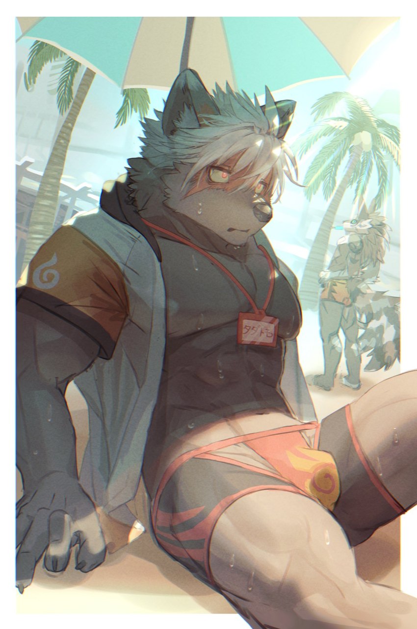 abs anthro areola beach bodily_fluids brown_body brown_fur clothing fur hair looking_away male muscular muscular_anthro muscular_male palm_tree plant sea seaside sitting solo sweat swimwear tree water white_hair biri lifewonders tokyo_afterschool_summoners seth_(tas) tadatomo_(tas) canid canine canis domestic_dog jackal mammal 2023 hi_res