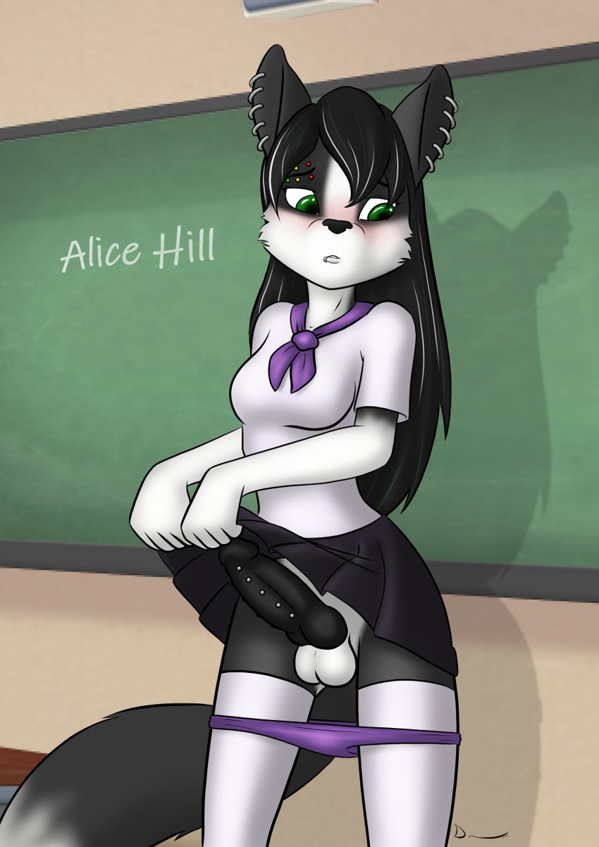 alice hill created by danaume