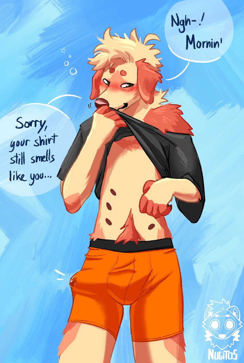 anthro belly_nipples blush bulge clothing erection erection_under_clothing hair male messy_hair morning morning_wood musk pubes shy sniffing sniffing_clothes solo text nugitos soup_(nugitos) bird_dog canid canine canis domestic_dog golden_retriever hunting_dog mammal retriever absurd_res english_text hi_res