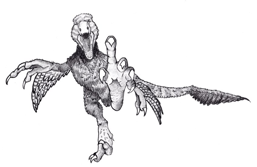 ambiguous_gender feathers feet feral solo talons toes wings u4e dakotaraptor dinosaur dromaeosaurid feathered_dinosaur feathered_scalie prehistoric_species reptile scalie theropod absurd_res graphite_(artwork) hi_res traditional_media_(artwork)