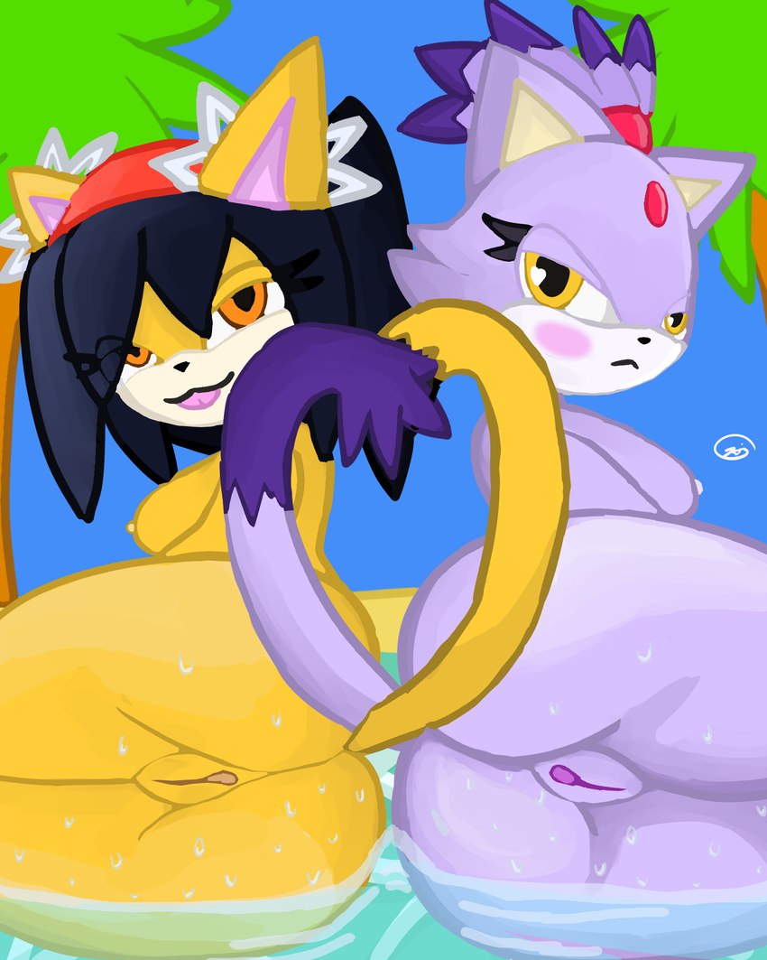 anthro beach blush breasts butt duo female fur genitals hair nude orange_eyes purple_body purple_fur pussy side_boob tail tongue tongue_out wet_butt yellow_body yellow_eyes yellow_fur jaed sega sonic_the_fighters sonic_the_hedgehog_(series) blaze_the_cat honey_the_cat domestic_cat felid feline felis mammal 4:5 hi_res