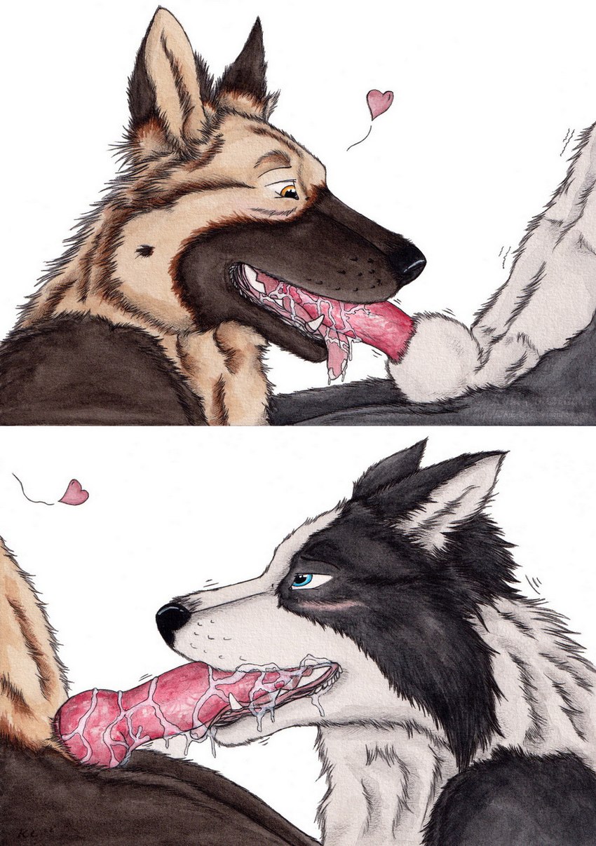 animal_genitalia anthro anthro_on_anthro anthro_penetrated anthro_penetrating anthro_penetrating_anthro black_body black_fur black_nose blue_eyes bodily_fluids brown_body brown_fur cum cum_in_mouth cum_inside cum_on_penis duo erection fellatio fur genital_fluids genitals glistening glistening_eyes heart_symbol knot male male/male male_penetrated male_penetrating male_penetrating_male open_mouth oral orange_eyes penetration penile penis penis_in_mouth red_penis sex sheath side_view simple_background tan_body tan_fur tongue tongue_out white_background white_body white_fur white_sheath kola_(artist) border_collie canid canine canis collie domestic_dog german_shepherd herding_dog mammal pastoral_dog sheepdog hi_res