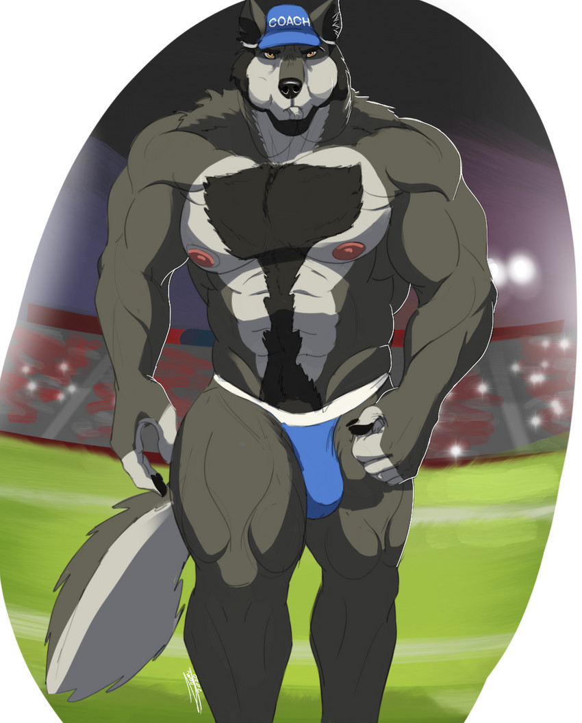 anthro big_pecs blue_baseball_cap blue_bottomwear blue_clothing blue_shorts bottomwear bulge clothed clothing detailed_bulge facial_hair football_field fur genital_outline grey_body grey_fur hat headgear headwear looking_at_viewer male muscular muscular_anthro muscular_arms muscular_legs muscular_male nipples pecs penis_outline pink_nipples shorts solo text text_on_clothing text_on_hat text_on_headwear topless topless_male whistle_(object) yellow_eyes zawn coach_mika canid canine canis mammal wolf 2020 english_text hi_res portrait signature three-quarter_portrait