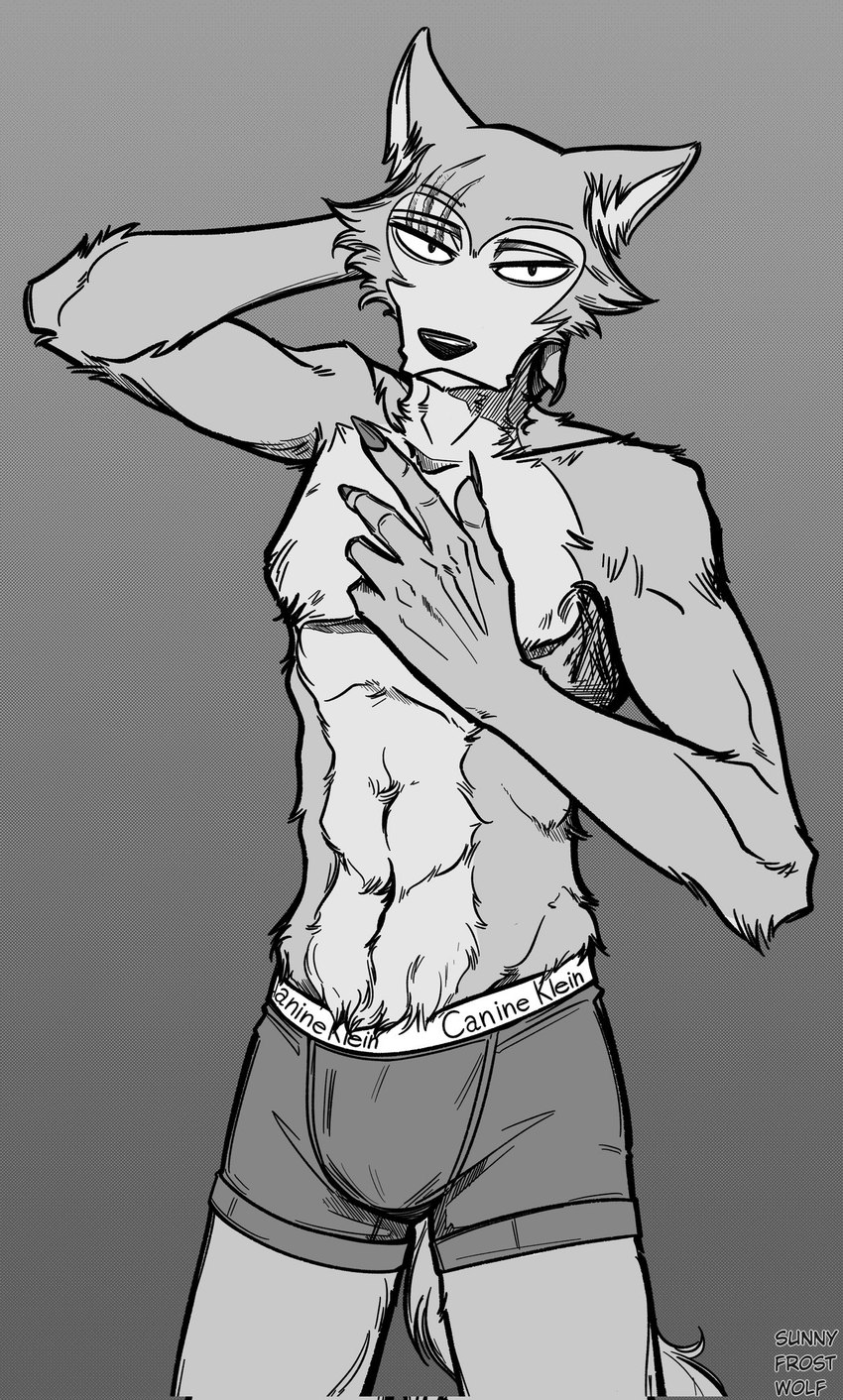 abs anthro athletic athletic_male bulge clothed clothing grey_background male scar simple_background solo text topless underwear sunny_frostwolf beastars calvin_klein legoshi_(beastars) canid canine canis mammal wolf english_text greyscale hi_res monochrome