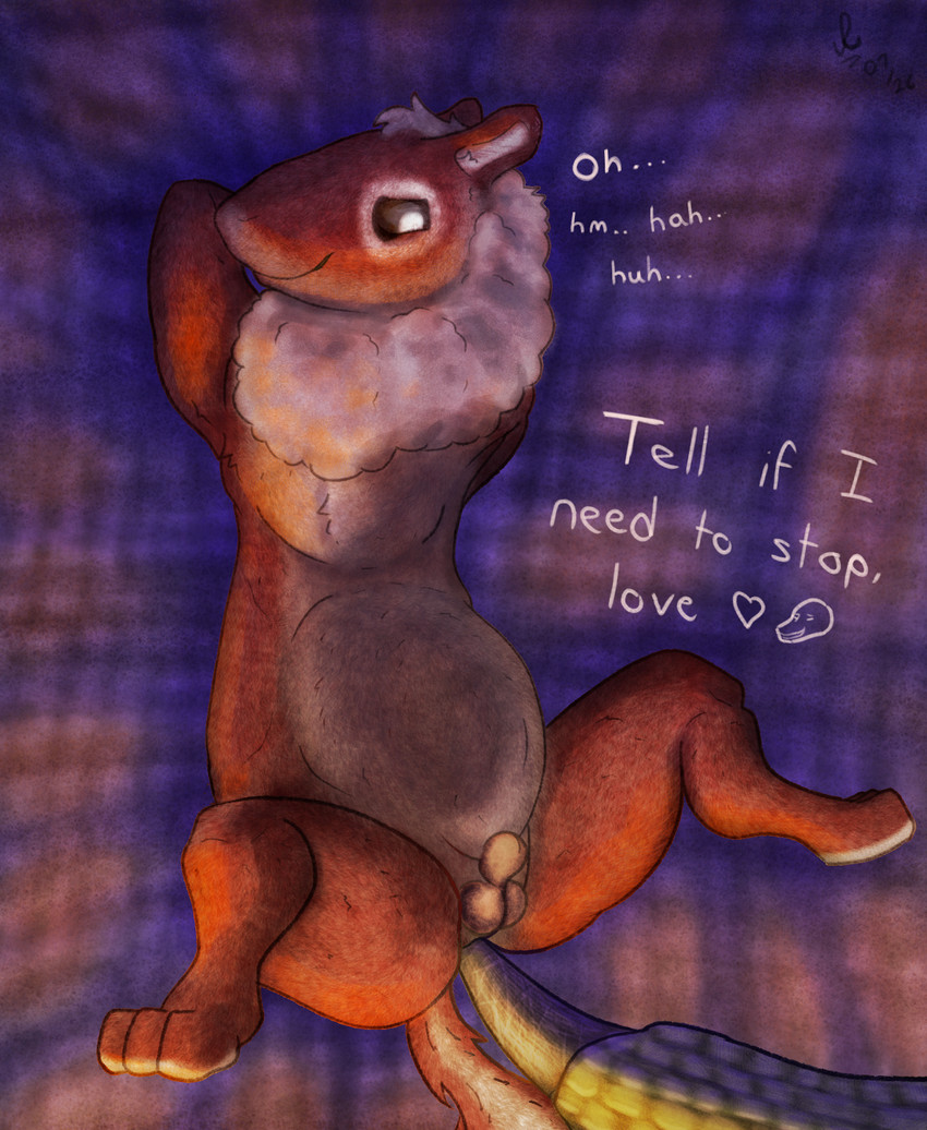 ambiguous_gender anal anal_fingering animal_genitalia anthro balls bed bed_covers bed_sheet bedding bedding_background belly_hair bent_legs body_hair butt chest_fur chest_tuft claws duo ears_up evening fingering fur furniture genitals hands_behind_back hands_behind_head head_tuft male multicolored_body narrowed_eyes navel neck_tuft organs paws penetration raised_leg scales sheath smile spread_legs spreading stomach tail tuft united_patriots the_nature_of_predators arxur_(the_nature_of_predators) dossur_(the_nature_of_predators) mammal reptile rodent scalie sciurid hi_res